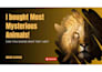 design high CTR youtube thumbnails to boost views